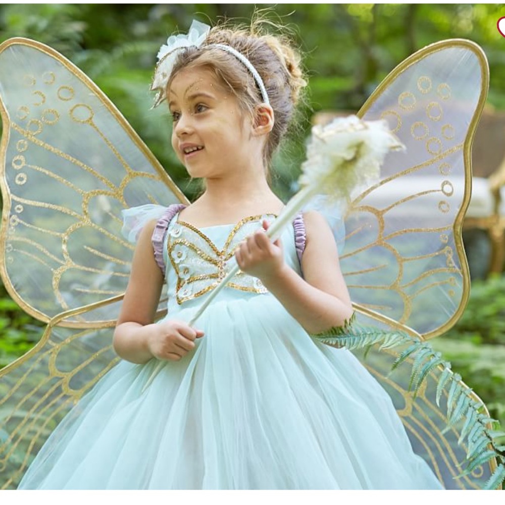 PBKids Mint Green Butterfly/fairy Costume (dress/wings/wand included)